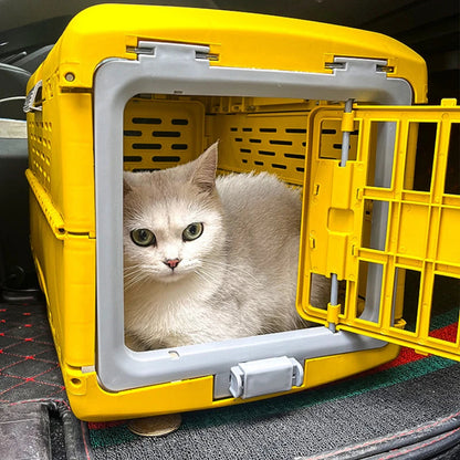 Portable Pet Carrier Box for Easy Travel