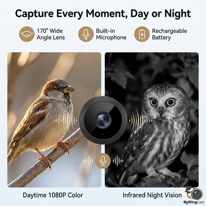 Wireless Outdoor Bird Feeder Camera 1080P HD