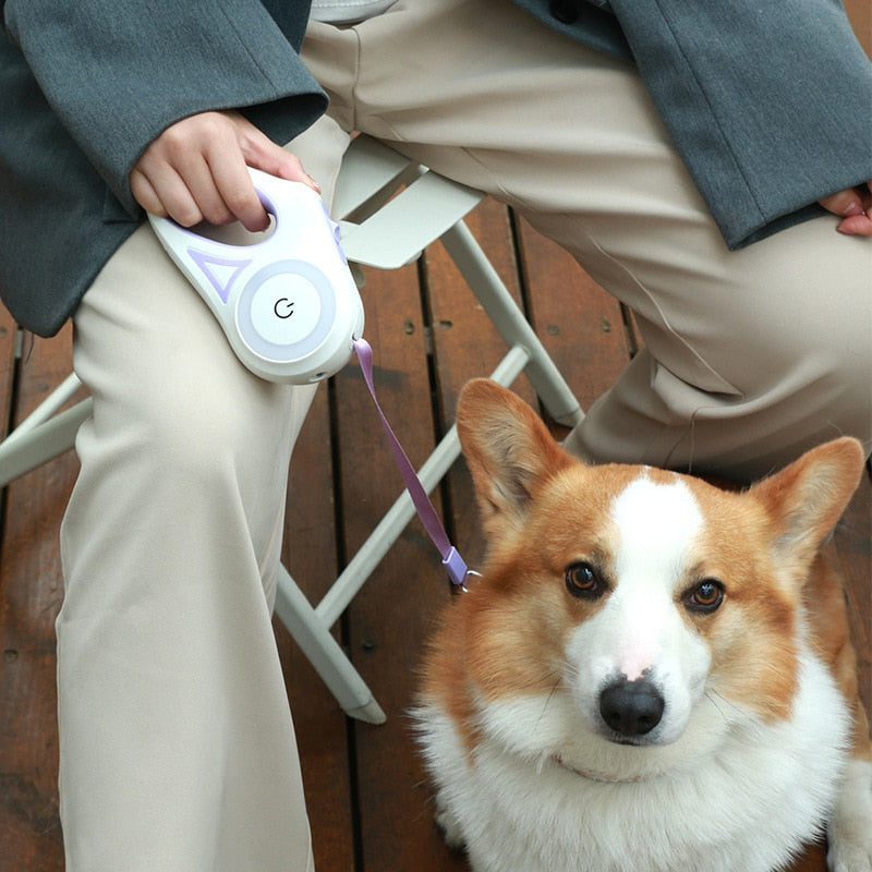 Bright LED Dog Leash with Flashlight