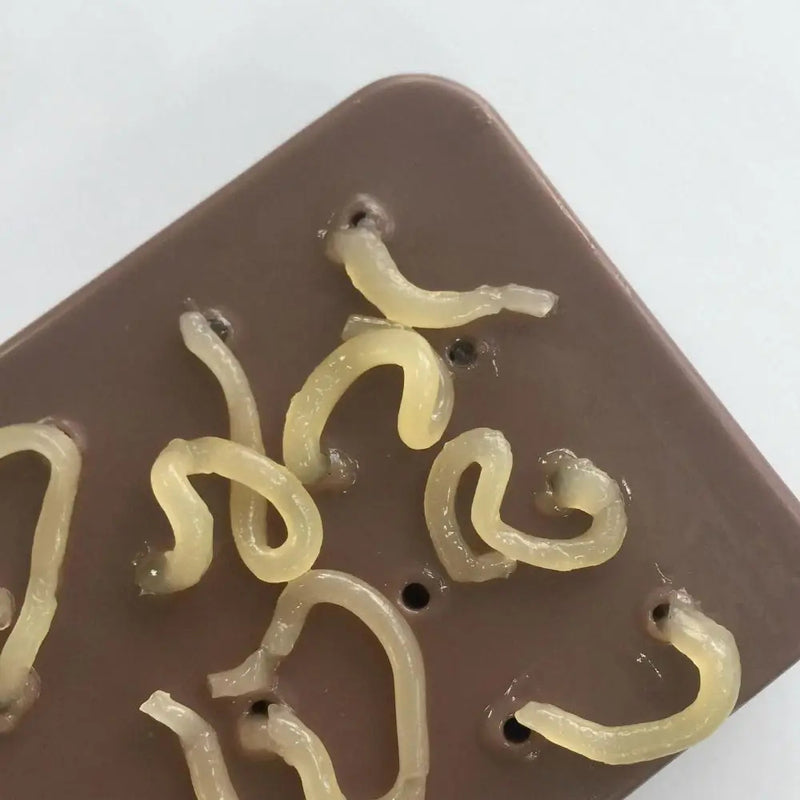Satisfying Stress Ball Toy with Refillable Liquid