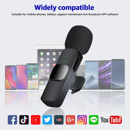 Compact Clip On Microphone