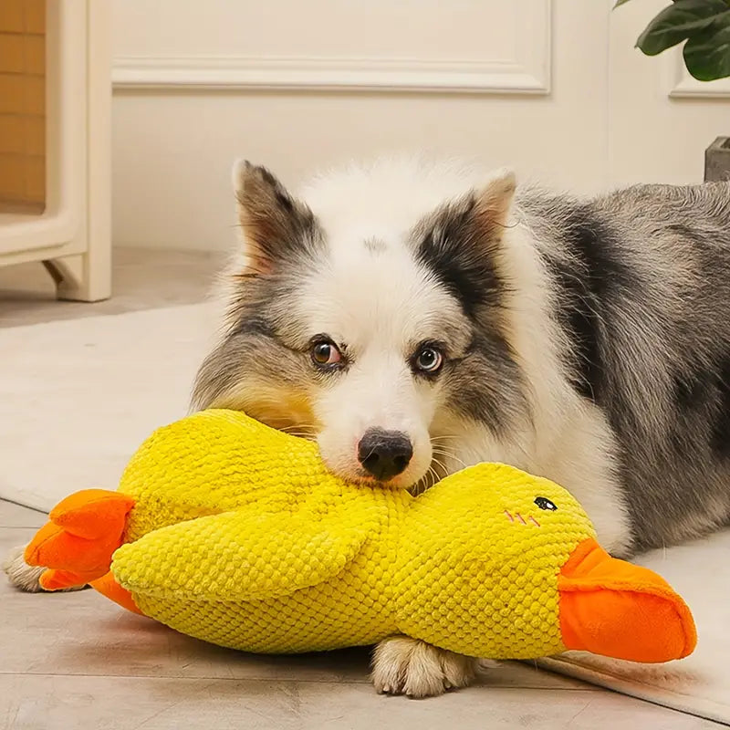 Tough Rubber Dog Toy for Fun Playtime