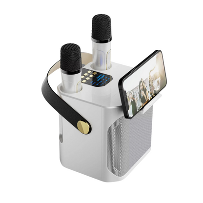 Wireless Karaoke Speaker System with Two Mics