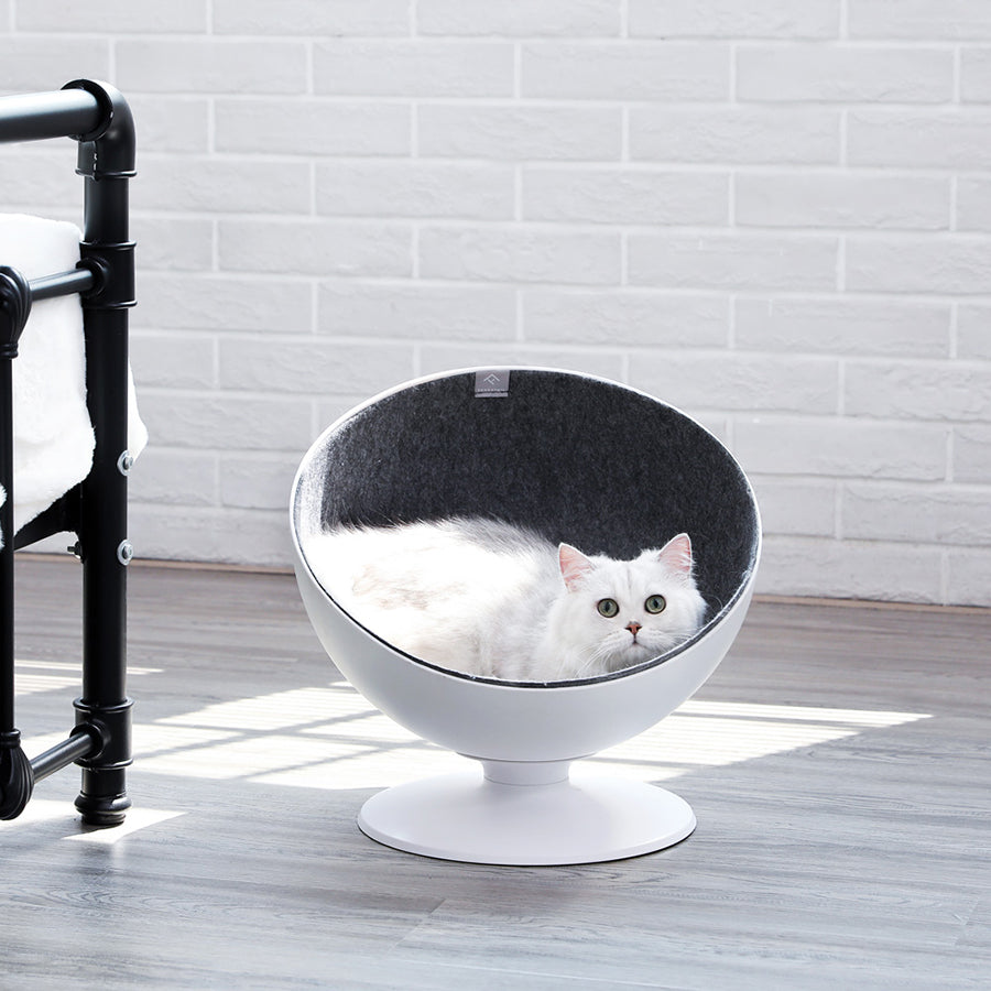 Fun Spinning Cat Hanging Bed - Pexav