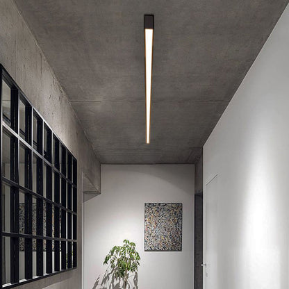 Slim LED Ceiling Lamp Modern Indoor Lighting Fixtures