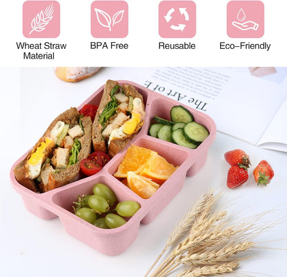 4-Pack Bento Snack Box – 4 Compartments-Multicolored-Nora Luxe