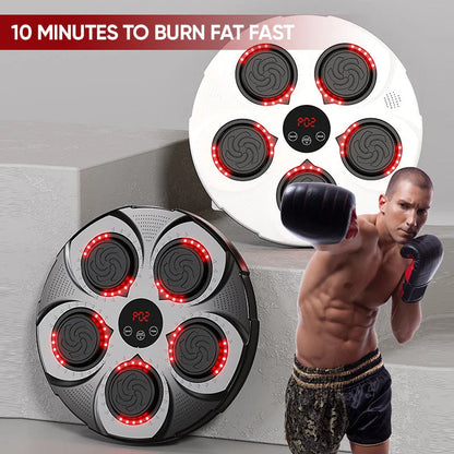 Compact Home Boxing Fitness Equipment