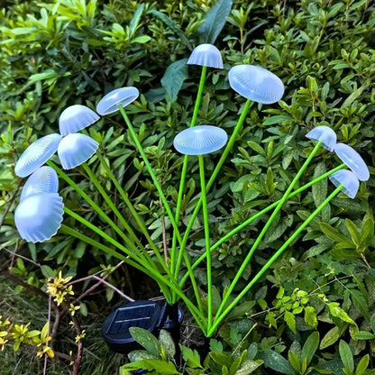 Colorful Outdoor Solar Mushroom String Lights