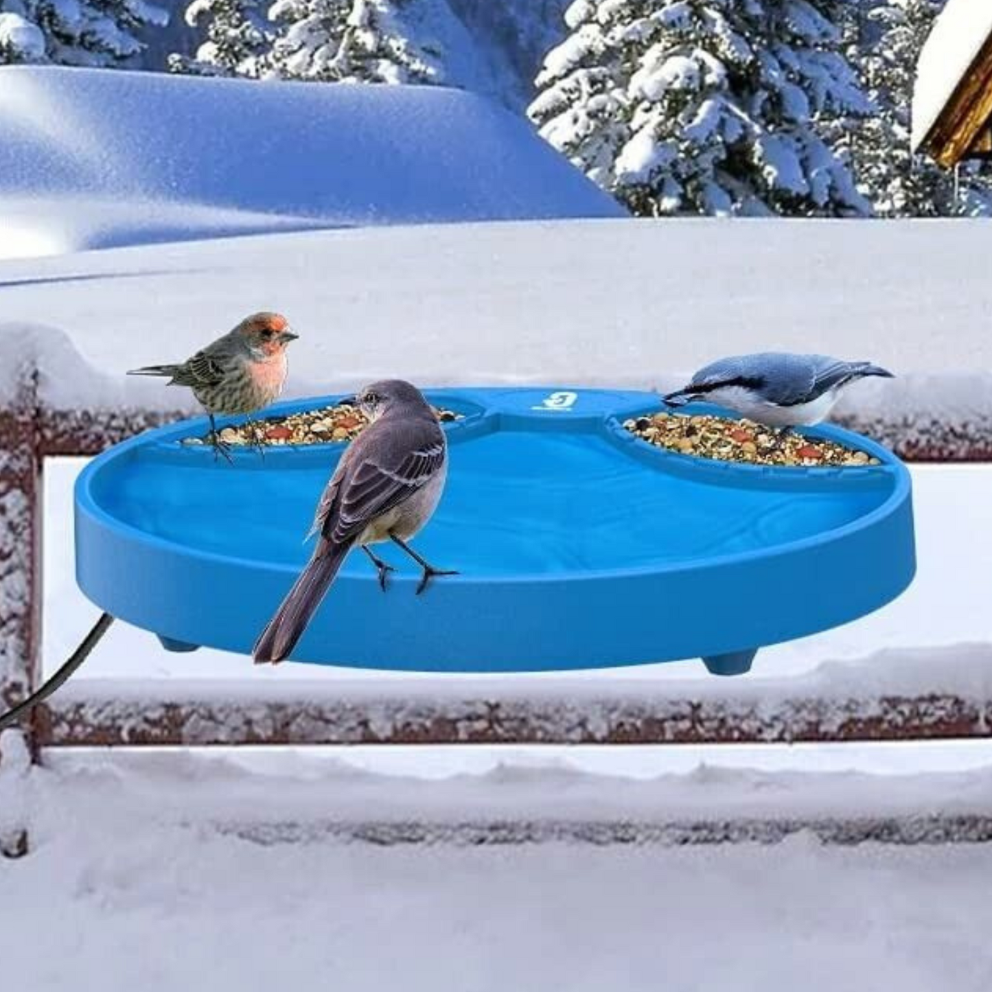 Warm Outdoor Solar Bird Bath for Birds