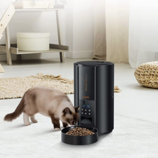 Automatic Pet Feeder for Cats and Dogs - Pexav