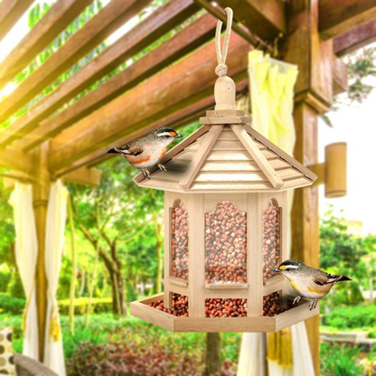 Clear Glass Backyard Bird Feeder