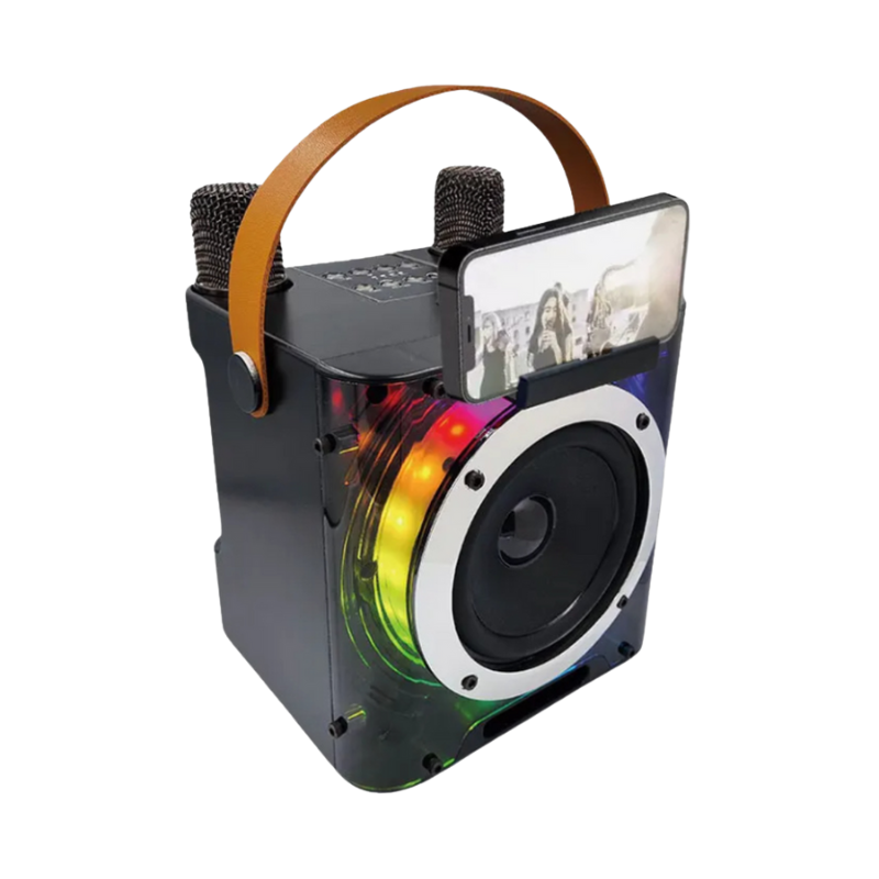 Wireless Karaoke Speaker System with Two Mics
