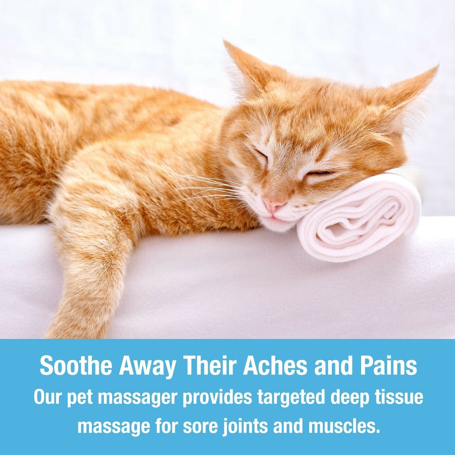 Relaxing Pet Massage Tool