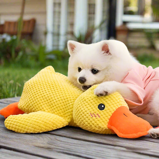 Soothing Dog Calming Plush Toy for Pets - Pexav