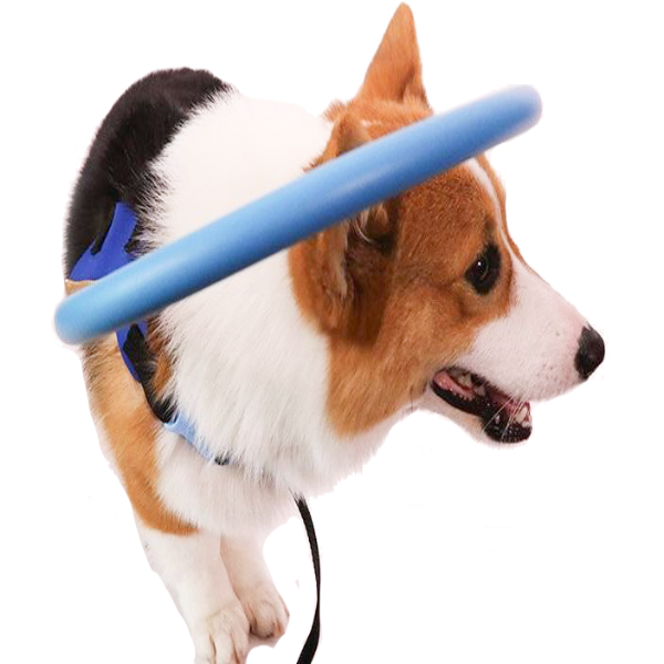 Comfortable Dog Support Vest for Blind Pets - Pexav