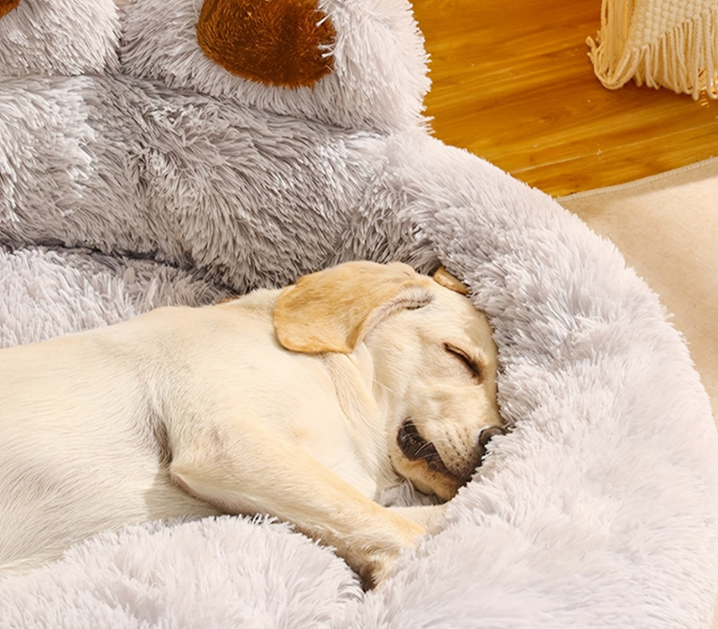 Comfy Dog Pet Bed with Bolstered Sides