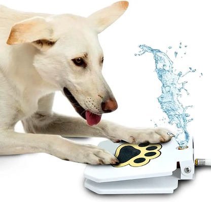 Automatic Paw Activated Pet Water Fountain Sprinkler