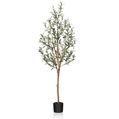 Artificial Green Olive Plant
