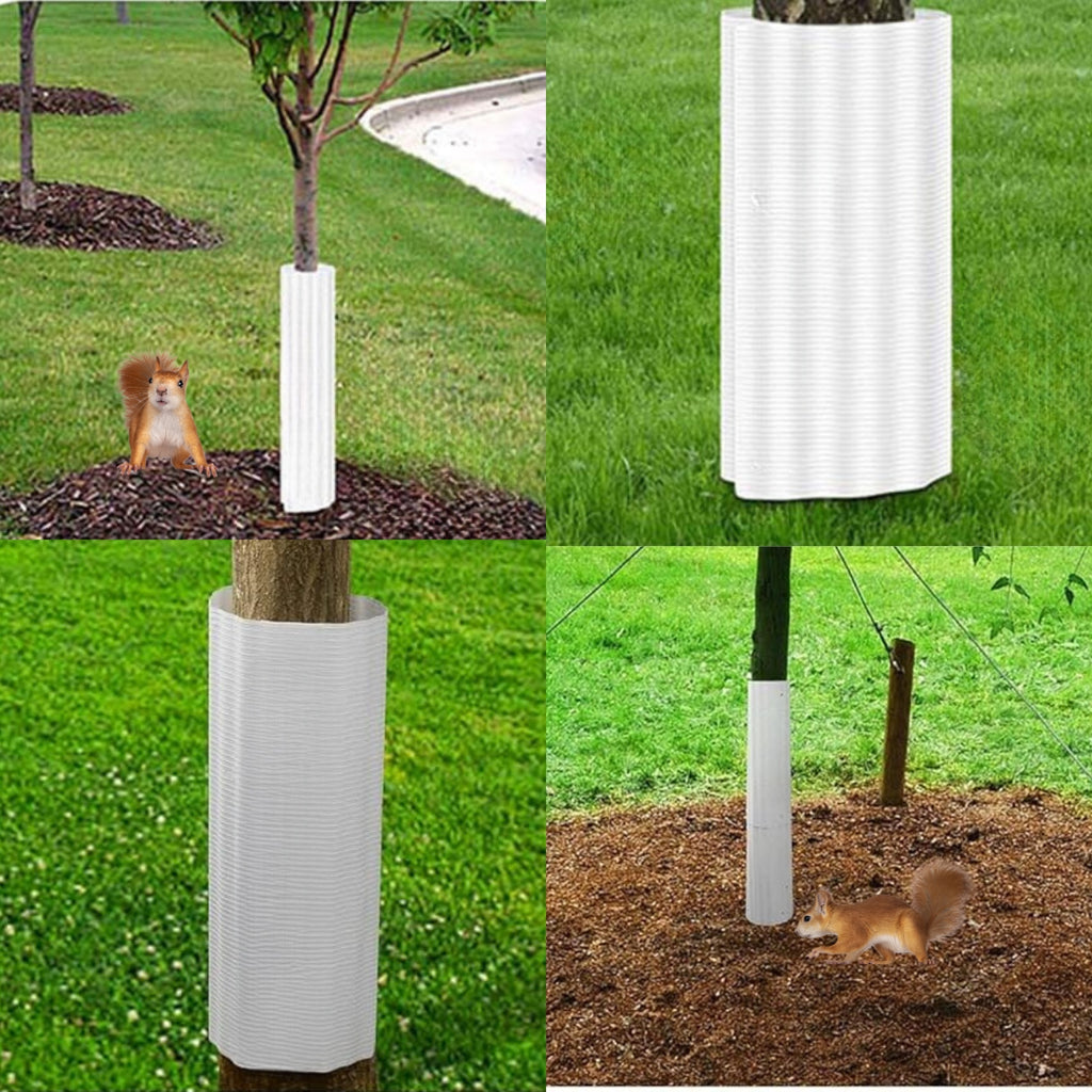 Tree Squirrel Guard Protector - 6 Pack