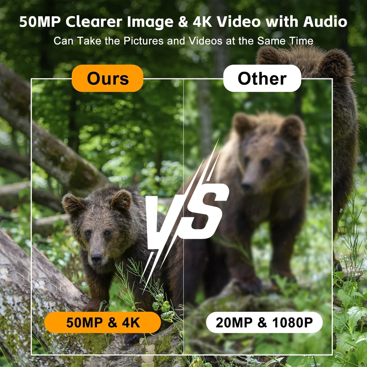 Wireless Outdoor Motion Trail Camera