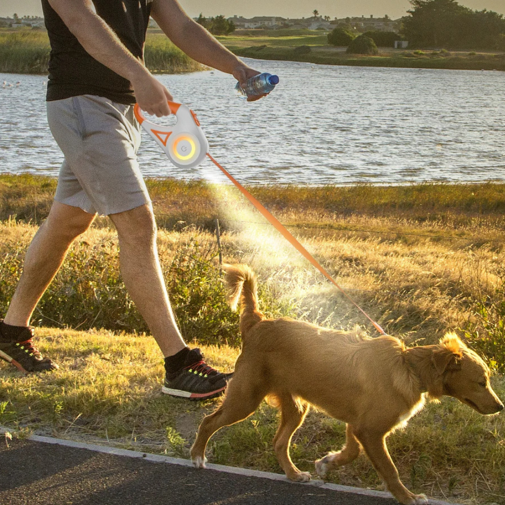 Adjustable Pet Leash with Flashing Light