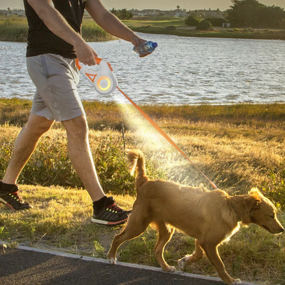 Adjustable Pet Leash with Flashing Light