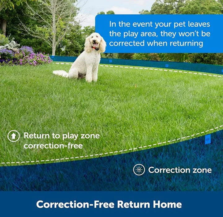 Remote Pet Containment Collar Kit