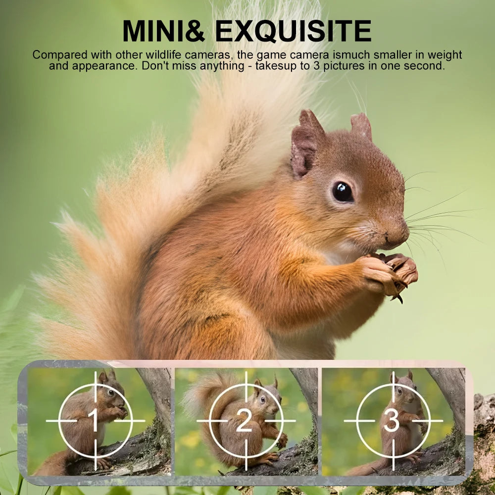 Small Animal Trail Camera with Full HD Night Vision