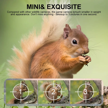 Small Animal Trail Camera with Full HD Night Vision