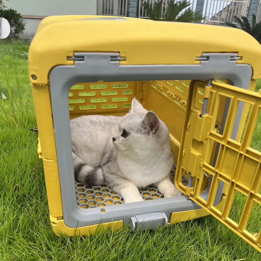 Portable Pet Carrier Box for Easy Travel