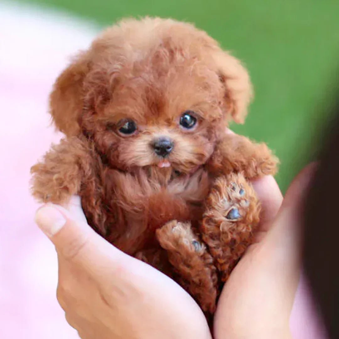 Soft Interactive Puppy Toy with Lifelike Motions - Pexav