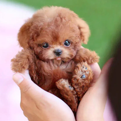 Soft Interactive Puppy Toy with Lifelike Motions - Pexav