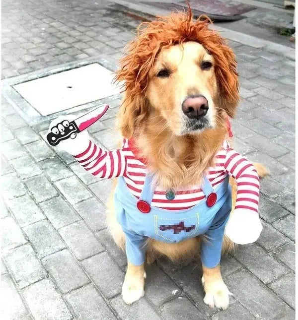 Cute Funny Pet Halloween Costume
