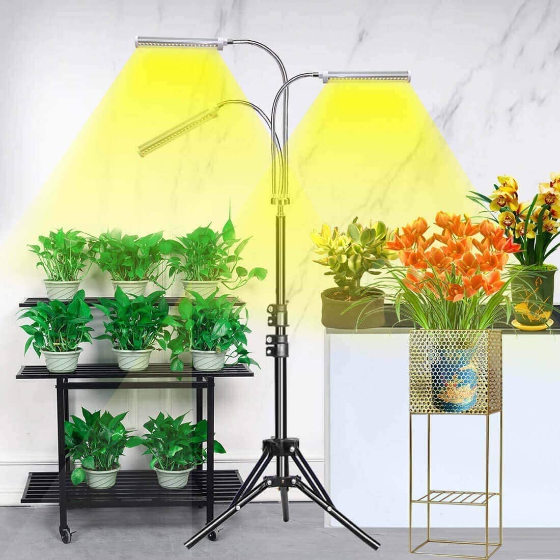 Tall LED Triple Head Grow Light for Indoor Plants - Pexav