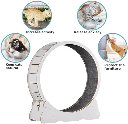 Fun Pet Running Wheel