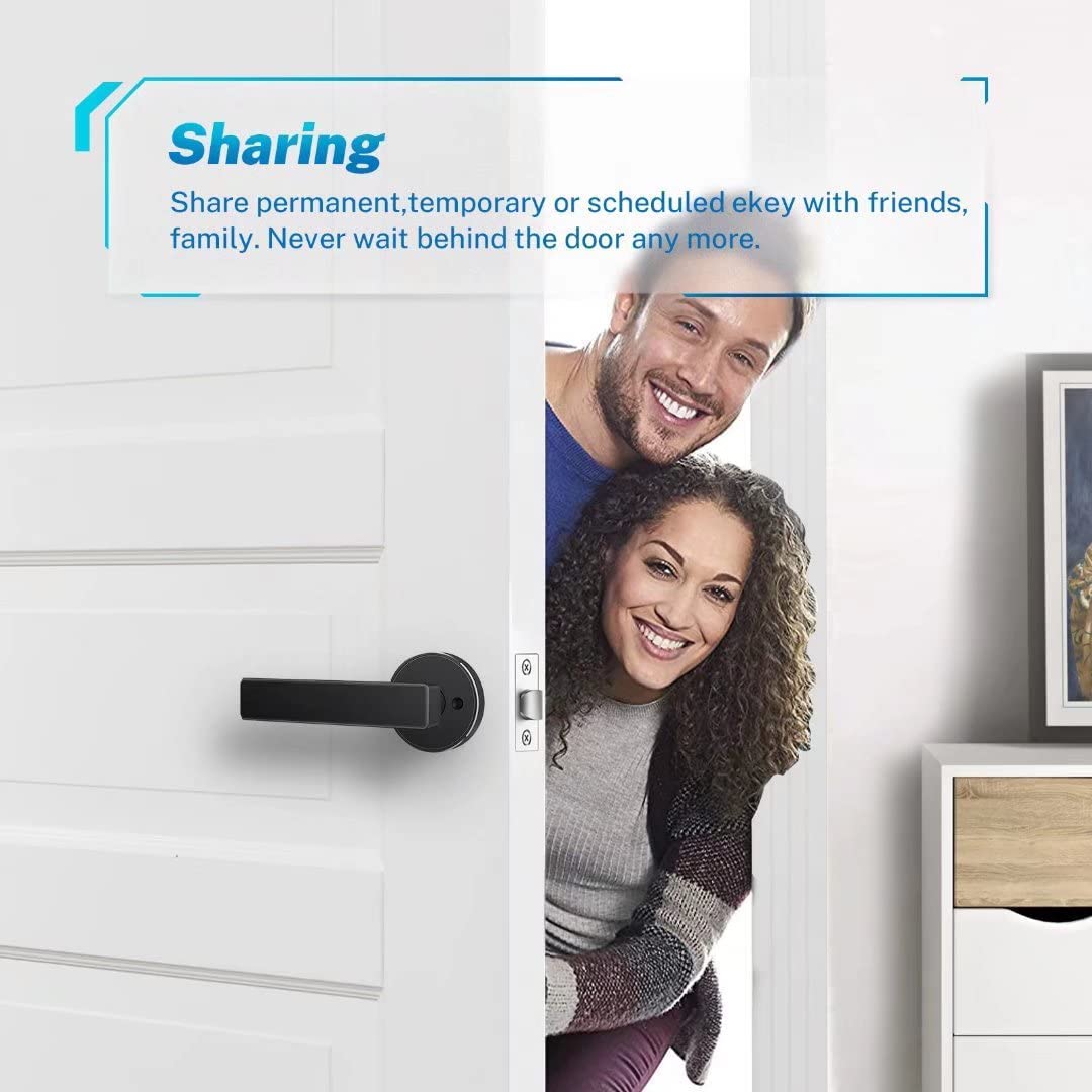 Secure Digital Fingerprint Door Lock Handle Set