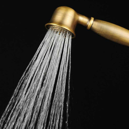 Classic Gold Showerhead with Handle - Pexav