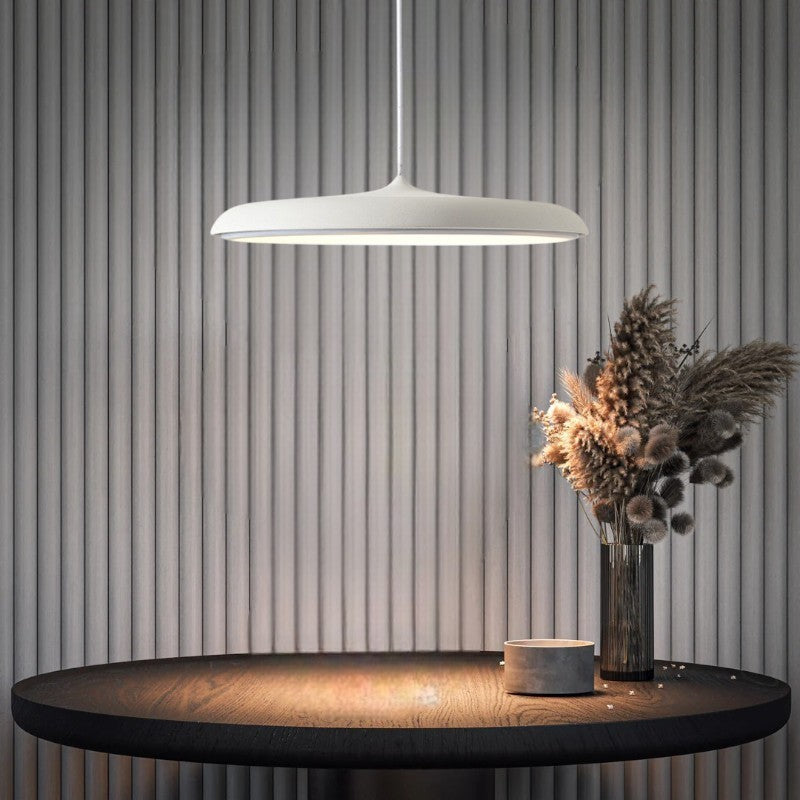 Simple Chic LED Hanging Light Fixture