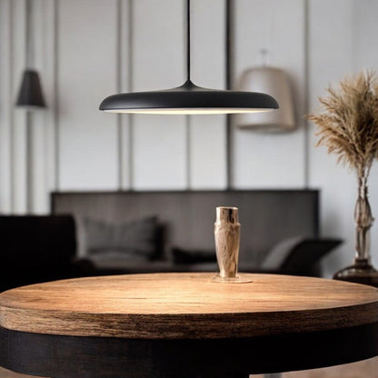 Simple Chic LED Hanging Light Fixture