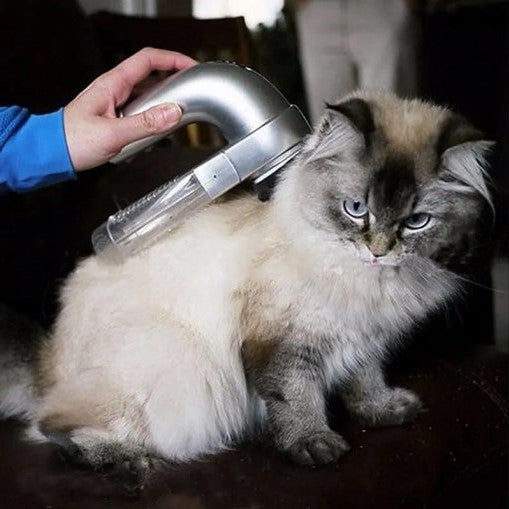 Pet Grooming Brush for Cats and Dogs