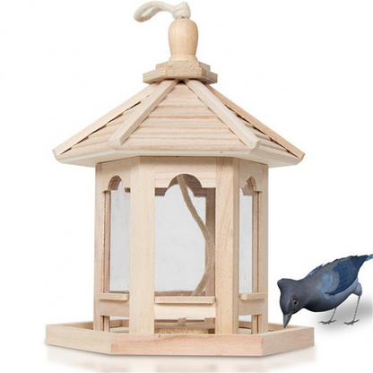 Clear Glass Backyard Bird Feeder