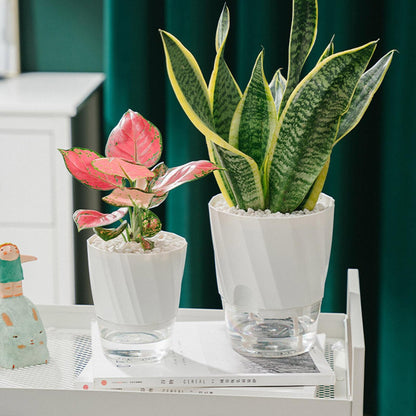 Automatic Watering Garden Pot