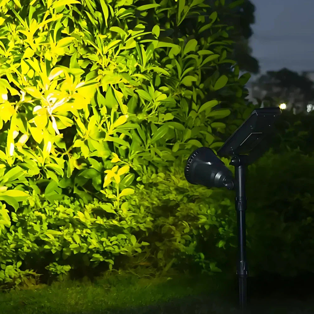 Colorful Outdoor Solar Powered LED Yard Spotlight