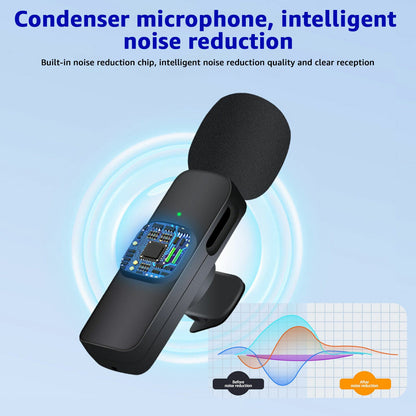 Compact Clip On Microphone