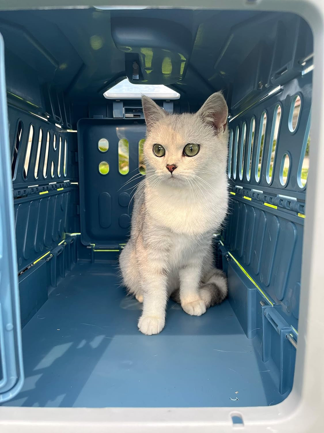 Portable Pet Carrier Box for Easy Travel
