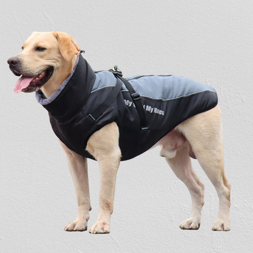 Warm Insulated Dog Coats - Pexav