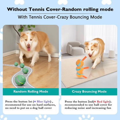 Fun Bouncy Pet Ball Toy