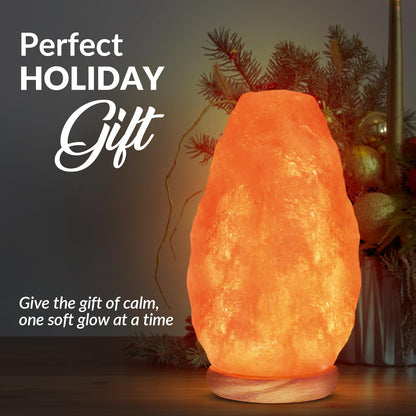 Natural Pink Salt Table Lamp