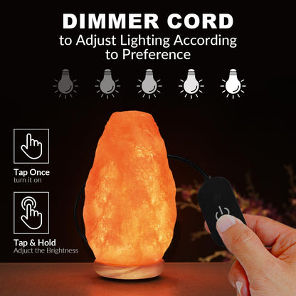 Natural Pink Salt Table Lamp