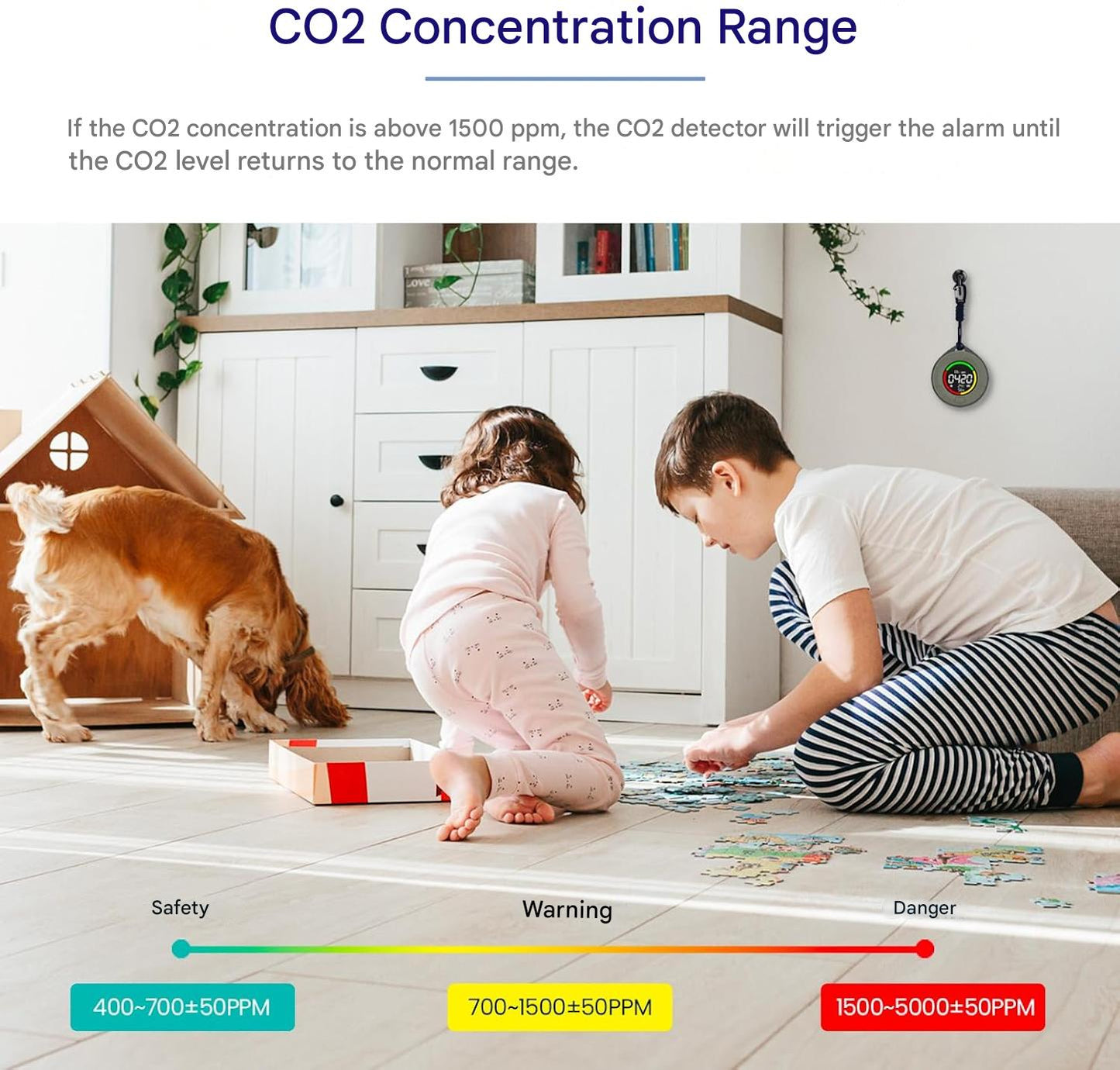 Compact Home CO2 Alarm Monitor